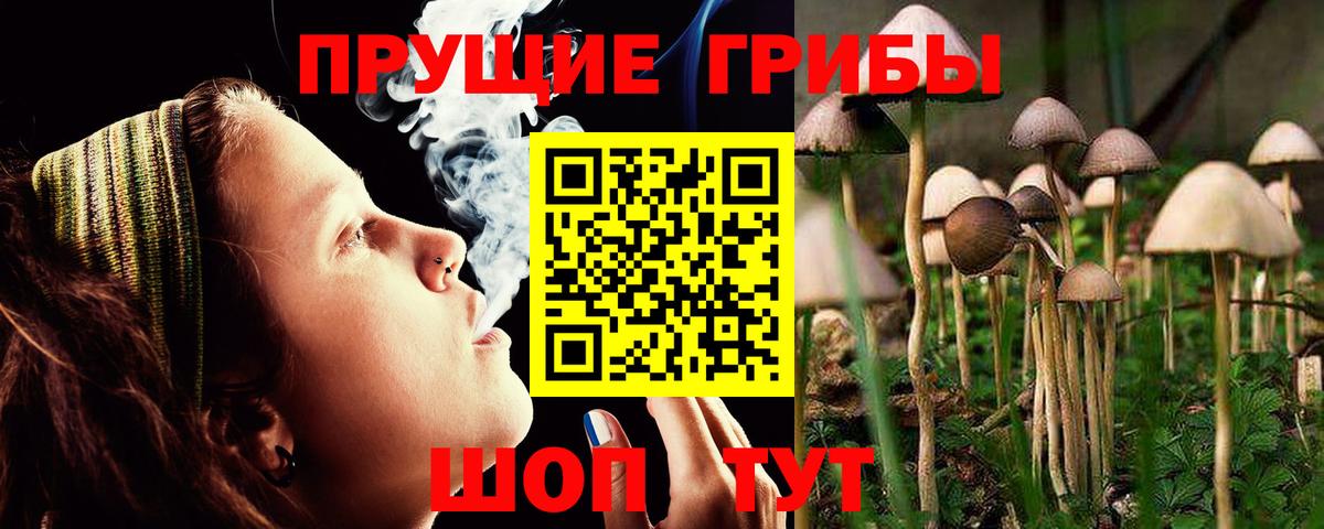 Галлюциногенные грибы мухоморы  Вход с VPN  Кстово 